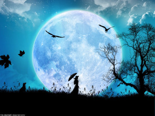 Fullmoon gothic umbrella birds trees - full moon free wallpaper
