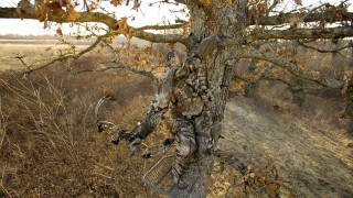 Tree stand hunting blind field - blind free wallpaper