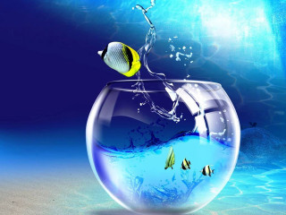Fish jumping ocean bowl blue - surrealism free wallpaper for desktop