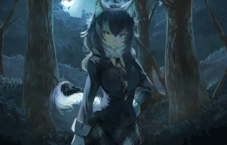 Girl dark forest wolf shoulder - a wolf free wallpaper for desktop