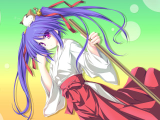 Purple hair woman broom cat - a broom free wallpaper