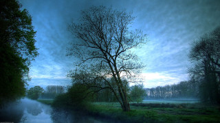 Tree river dusk blue sky 3 - the middle of a river free wallpaper