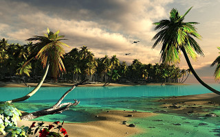 Tropical island palm trees bird - tropical free wallpaper for desktop
