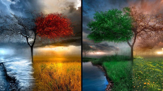Tree river sunset sky red - triadic color scheme free wallpaper