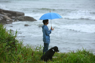 Beach umbrella dog ocean rainy - a beach near the ocean free wallpaper