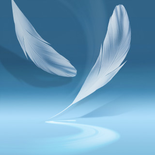 White feather blue surface blue - top free wallpaper for tablet
