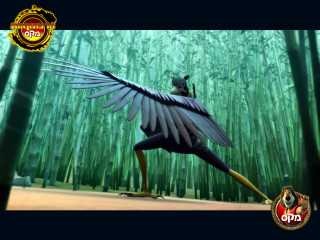 Bird long beak bamboo forest - a bamboo forest free wallpaper