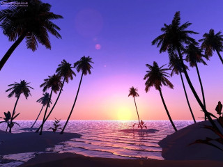 Sunset palm trees surfboard person - a surfboard free wallpaper