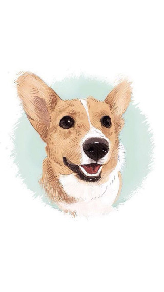 Smiling dog with collar drawing - free dogs wallpaper for mobile