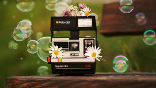 Polaroid camera flower bubbles wooden - free vintage wallpaper for desktop