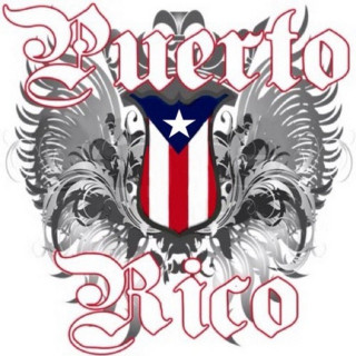 Puerto rio logo shield star - a logo free wallpaper for tablet