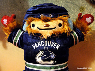 Stuffed animal vancouver hockey jersey - derek chittock free wallpaper