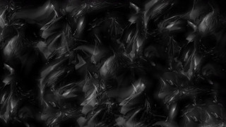 Black white leaves wall blurry - blurry free wallpaper for desktop
