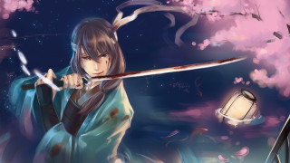 Woman sword lantern cherry blossom - a sword in front free wallpaper