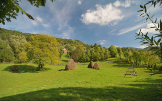 Field haybales house trees blueclouds - danube school free wallpaper for desktop