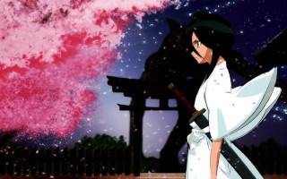 Woman white dress sword pink 3 - analytical art free wallpaper for desktop