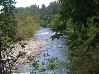 River forest trees rocks bank - river free wallpaper for desktop