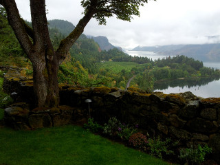 Tree lake mountain sky nature - beautiful scenery free wallpaper