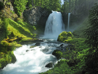 Waterfall forest mossy rocks trees 22 - a waterfall in a forest free wallpaper