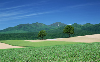 Field trees mountains blue sky - murata range free wallpaper for desktop