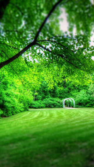 Green field white bench trees - a green field free wallpaper for mobile