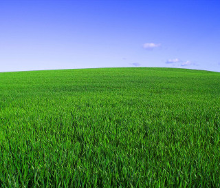 Green grass blue sky clouds 11 - green grass free wallpaper
