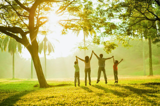 Park people summer autumn nature - their arm free wallpaper for desktop