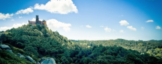 Castle hill trees rocks foreground - anson maddock free wallpaper