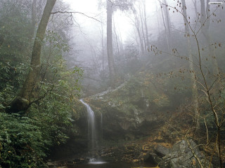 Waterfall forest fog trees yellow - a waterfall in a forest free wallpaper