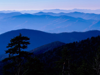 Mountain range tree blue sky - a view of a mountain range free wallpaper for desktop
