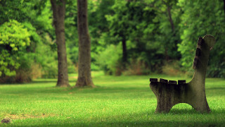 Bench grassy area trees background - the background and a path free wallpaper