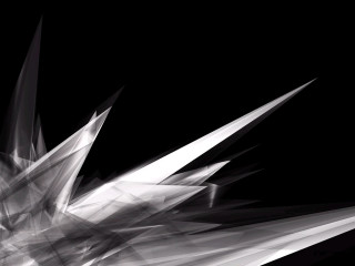 Black white bird wings spread - back end free wallpaper