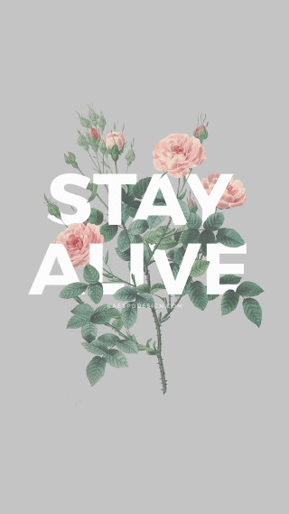 Rose stay alive gray background - shock art free wallpaper for mobile