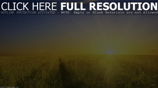 Field grass sunset background click - the sun free wallpaper