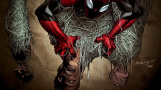 Spider man sitting hay holding - a spider free wallpaper