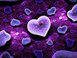 Heart purple rocks water droplets - a black dot free wallpaper