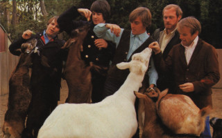 People goats group holding head - brian fies free wallpaper