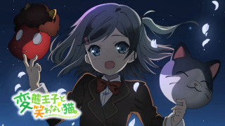 Girl holding cat mushroom caption - a caption in the middle of the picture free wallpaper