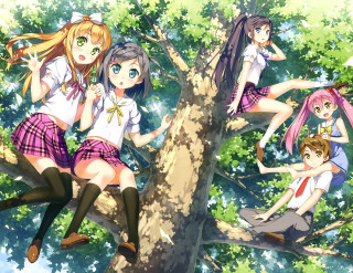 Girls sitting tree forest back - their back free wallpaper for desktop