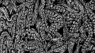 Black white flowers drawing black - cleon peterson free wallpaper