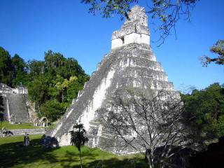 Pyramid forest tree blue sky - neoprimitivism free wallpaper