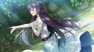 Woman forest outstretched dress portrait - long hair and a dress free wallpaper