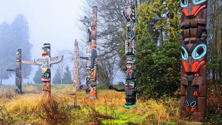 Totem poles field trees fog - bruce munro free wallpaper