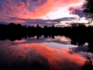 Lake pink purple sky trees - colorful cloud free wallpaper
