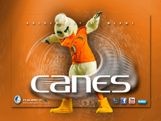 Mascot parody green eyes hoodie - a name free wallpaper