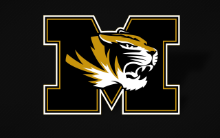 Black yellow tiger logo letter - m free wallpaper