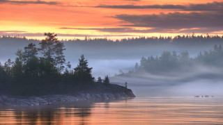 Lake forest fog sunset clouds - a forest in the background free wallpaper for desktop