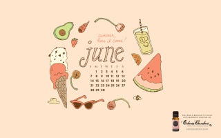 Calendar june items booze bottle - different item free wallpaper for desktop