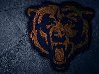 Bear rug blue background brown - the floor of a room free wallpaper
