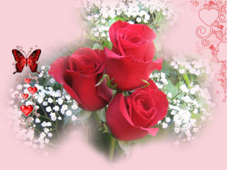 Bouquet roses butterfly pink background 2 - felipe seade free wallpaper